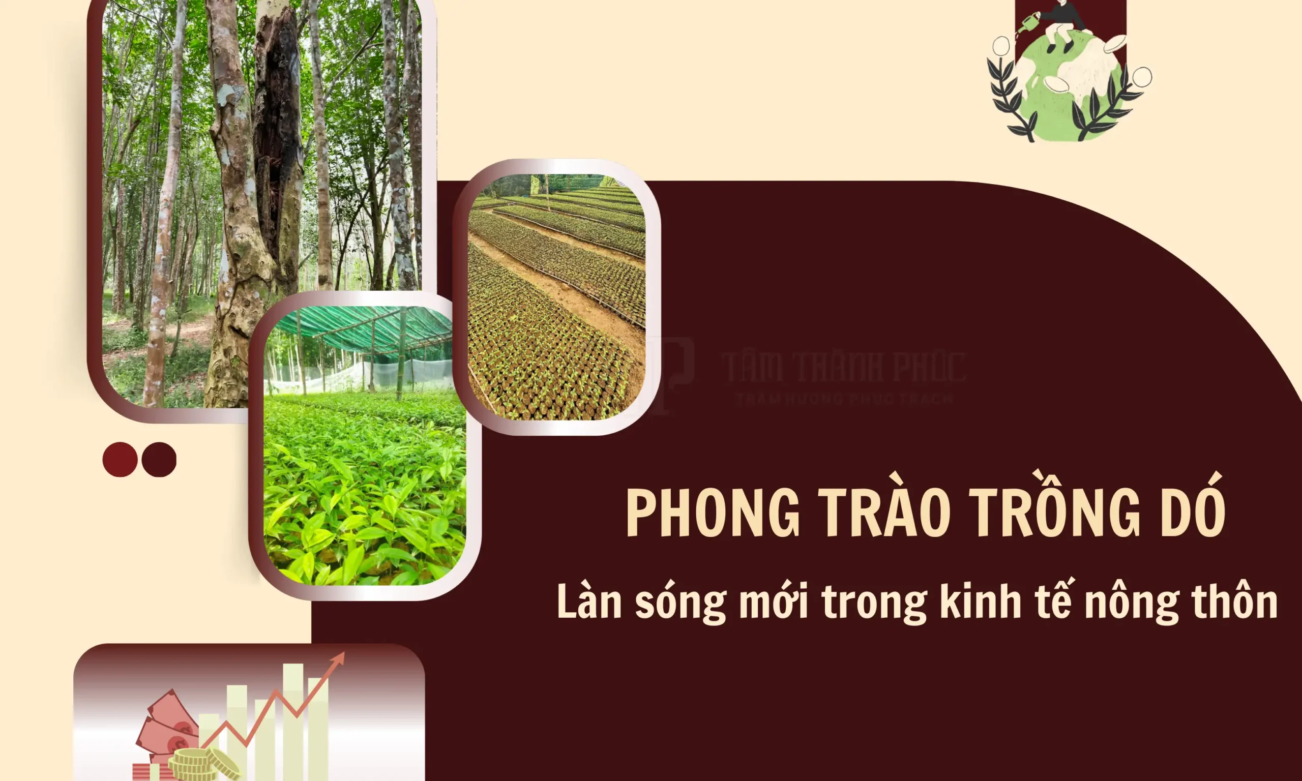 Phong trào trồng cây dó - làn sóng kinh tế mới nông thôn