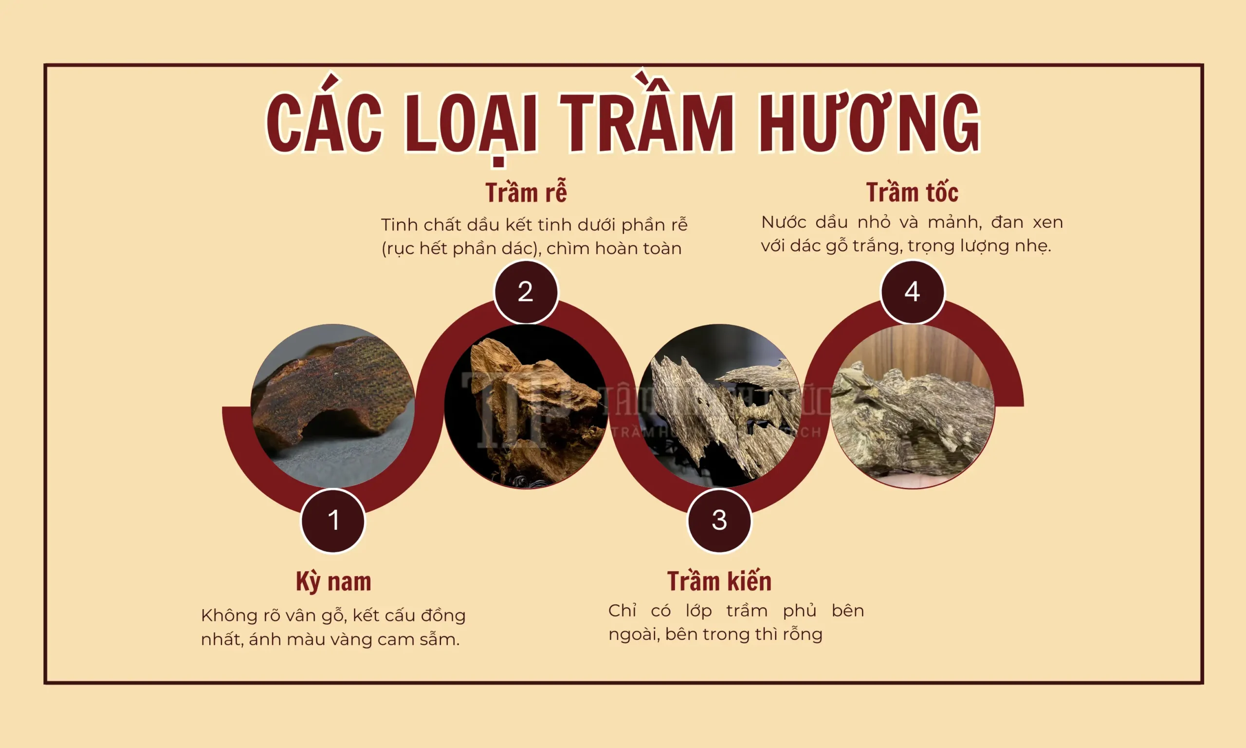 TRẦM HƯƠNG LÀ GÌ? TẤT TẦN TẬT VỀ TRẦM HƯƠNG