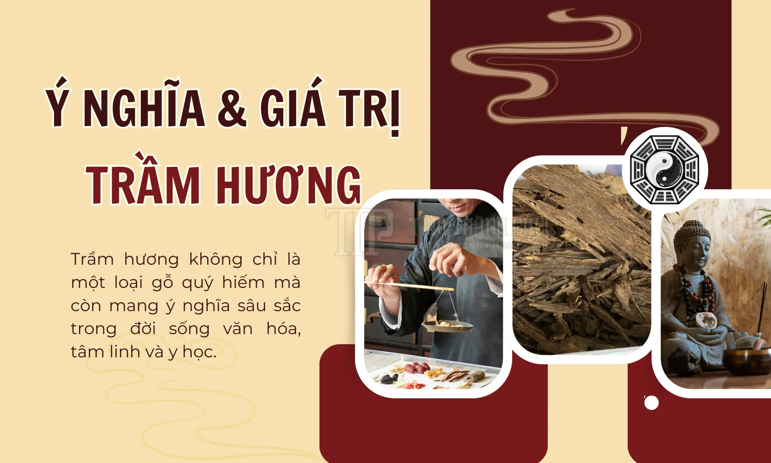 TRẦM HƯƠNG LÀ GÌ? TẤT TẦN TẬT VỀ TRẦM HƯƠNG