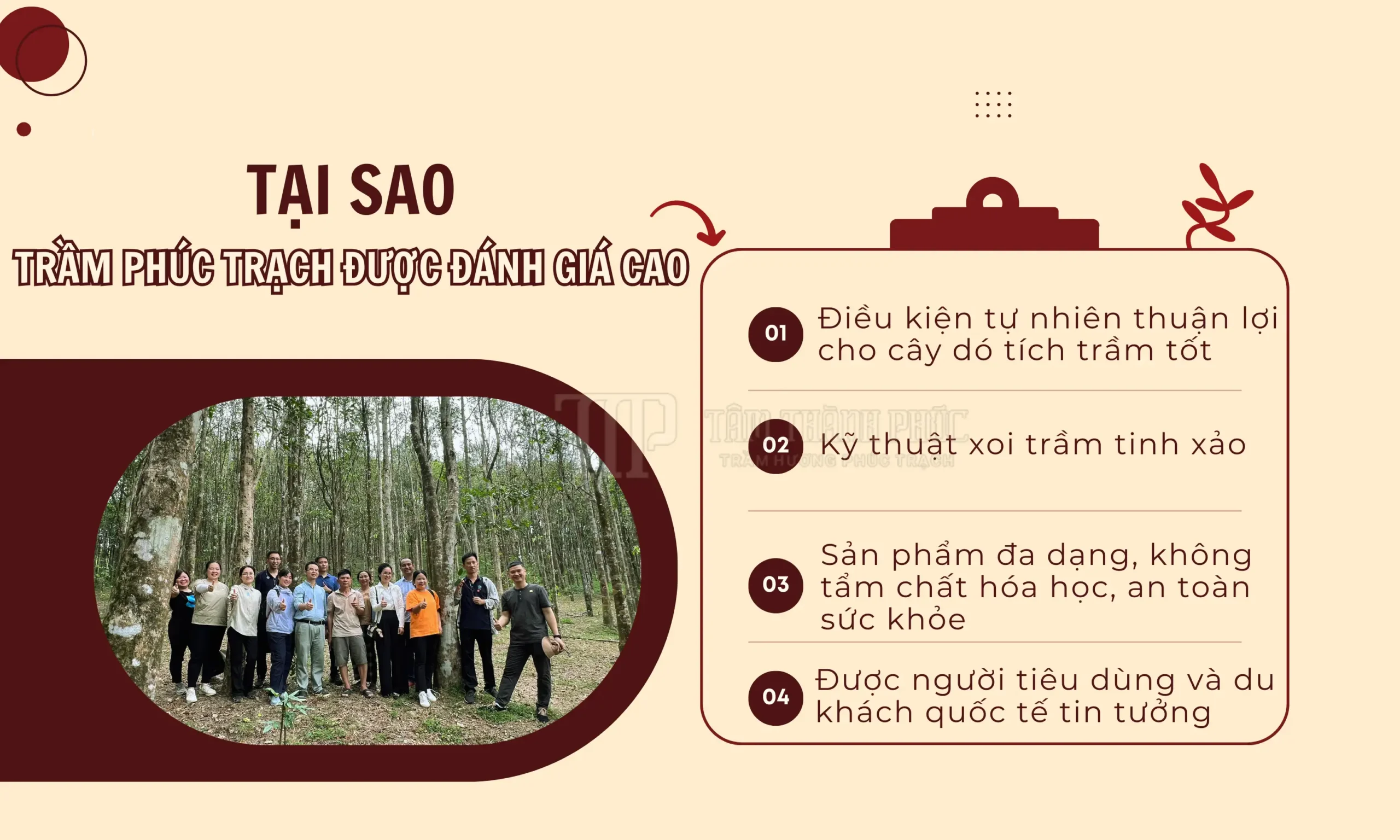 Làng nghề trầm hương Phúc Trạch Hà Tĩnh – Cái nôi trồng dó chăm trầm