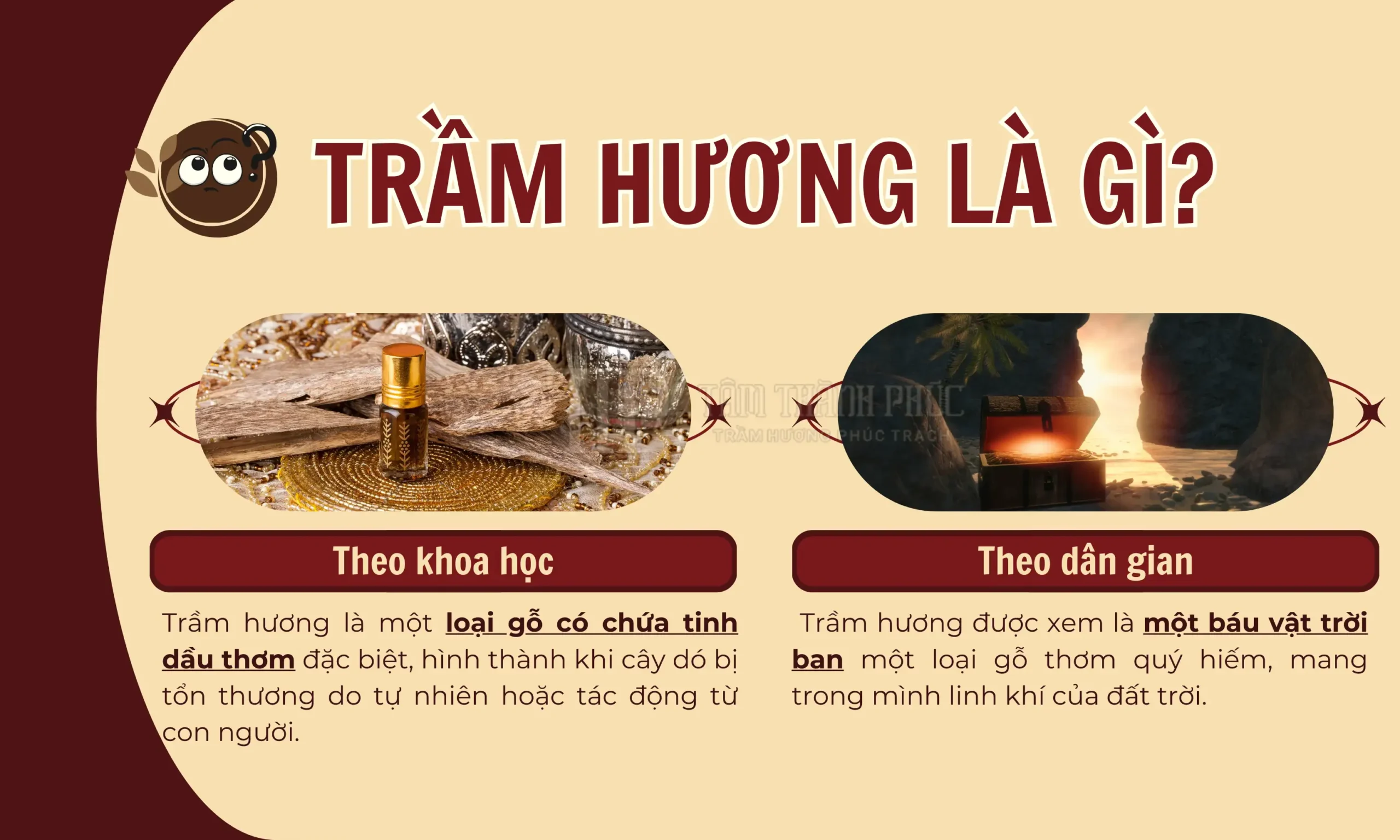 TRẦM HƯƠNG LÀ GÌ? TẤT TẦN TẬT VỀ TRẦM HƯƠNG