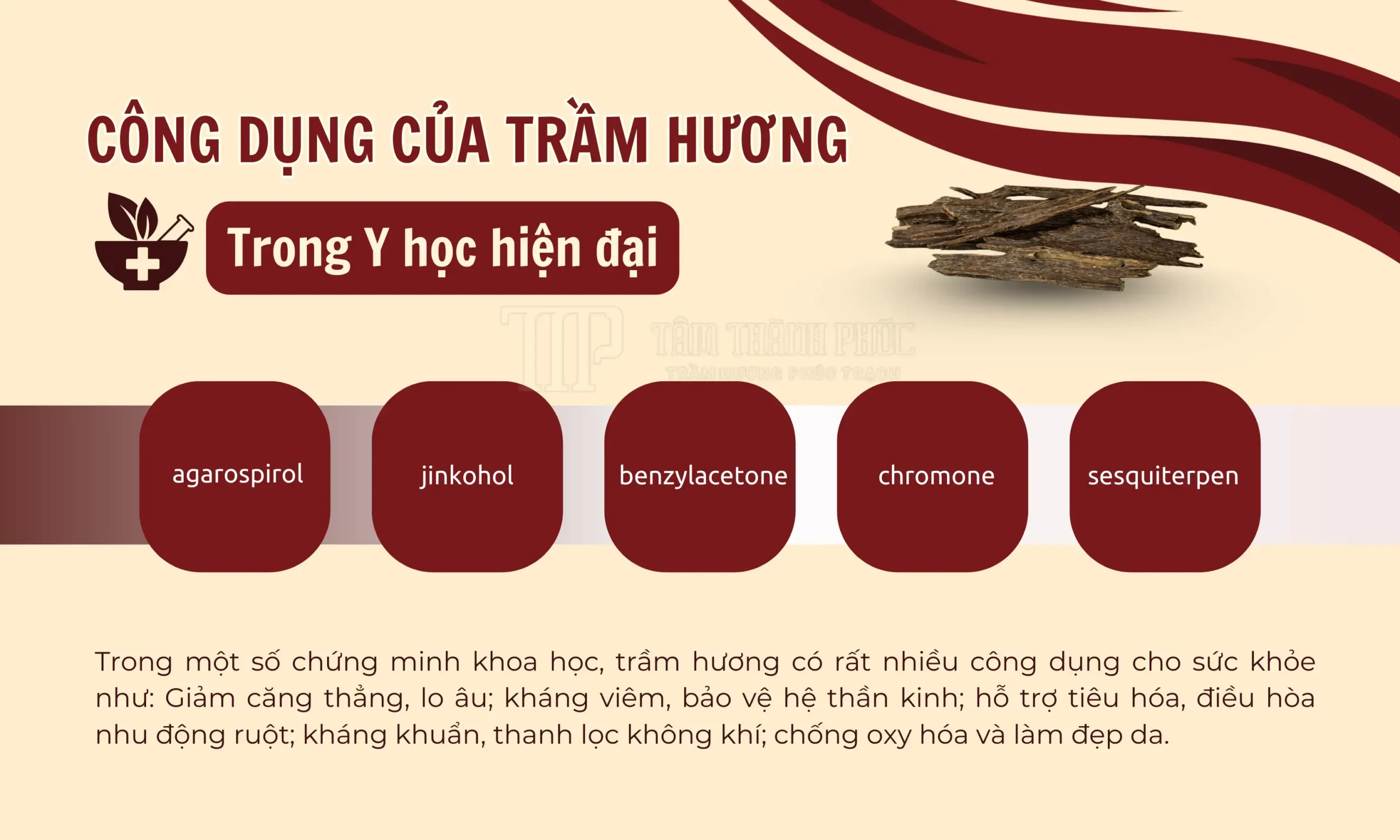 Công dụng của trầm hương trong y học hiện đại