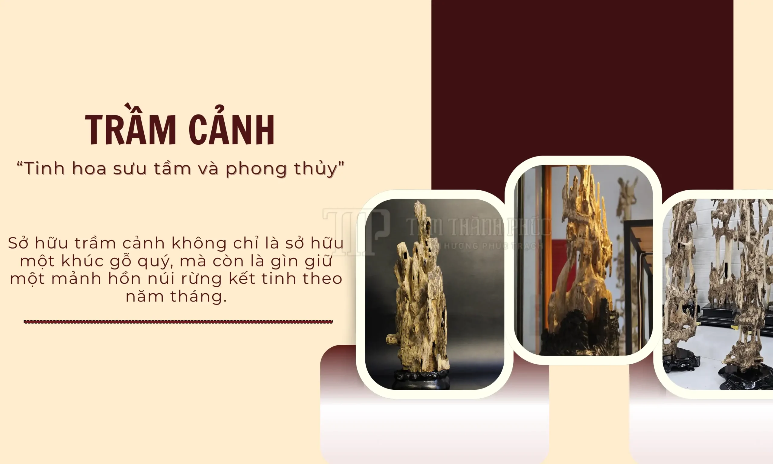 Trầm cảnh tinh hoa sưu tầm và phong thủy