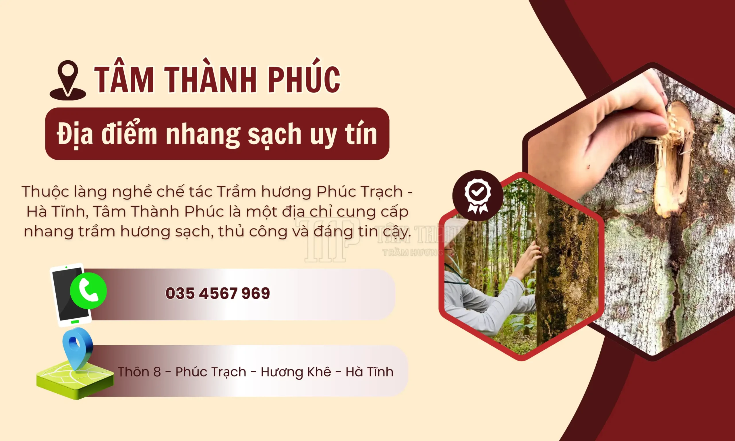 TOP 5 LÝ DO NÊN SỬ DỤNG NHANG SẠCH? CÓ HẲN LÀ XU THẾ